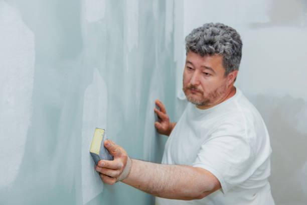 Best Asbestos and Lead Testing During Mold Inspection  in Buena, NJ