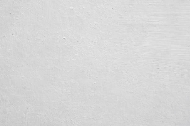 Trusted Buena, NJ Mold Removal Experts