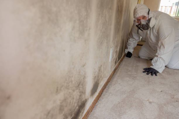 Best Post-Remediation Verification Testing  in Buena, NJ